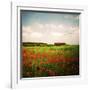 Red Field-Philippe Sainte-Laudy-Framed Photographic Print