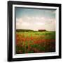 Red Field-Philippe Sainte-Laudy-Framed Photographic Print