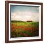 Red Field-Philippe Sainte-Laudy-Framed Photographic Print