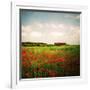 Red Field-Philippe Sainte-Laudy-Framed Photographic Print