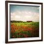 Red Field-Philippe Sainte-Laudy-Framed Photographic Print