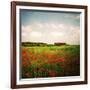 Red Field-Philippe Sainte-Laudy-Framed Photographic Print