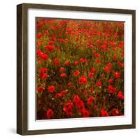 Red Field-Marco Carmassi-Framed Photographic Print