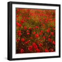 Red Field-Marco Carmassi-Framed Photographic Print