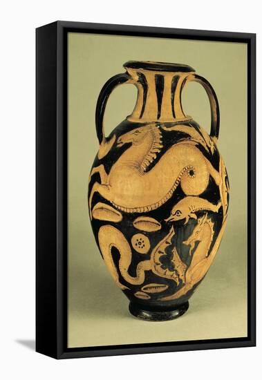 Red-Figure Amphora Depicting Sea Animals-null-Framed Stretched Canvas