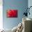 Red Flame-Dana Styber-Mounted Photographic Print displayed on a wall