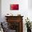 Red Flame-Dana Styber-Mounted Photographic Print displayed on a wall