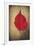 Red Flame-Philippe Sainte-Laudy-Framed Giclee Print
