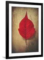 Red Flame-Philippe Sainte-Laudy-Framed Giclee Print