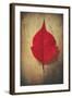 Red Flame-Philippe Sainte-Laudy-Framed Giclee Print