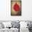 Red Flame-Philippe Sainte-Laudy-Giclee Print displayed on a wall