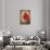 Red Flame-Philippe Sainte-Laudy-Giclee Print displayed on a wall