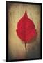 Red Flame-Philippe Sainte-Laudy-Framed Giclee Print