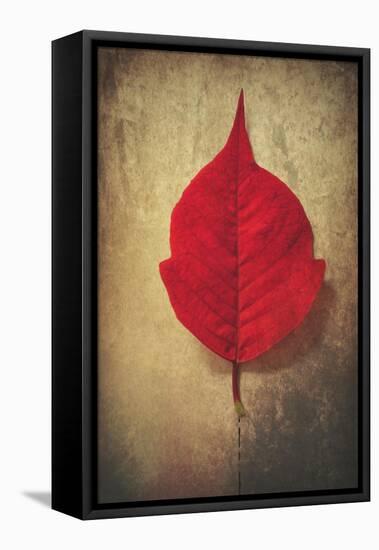 Red Flame-Philippe Sainte-Laudy-Framed Stretched Canvas