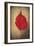 Red Flame-Philippe Sainte-Laudy-Framed Giclee Print