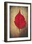 Red Flame-Philippe Sainte-Laudy-Framed Giclee Print