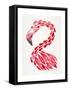 Red Flamingo-Cat Coquillette-Framed Stretched Canvas