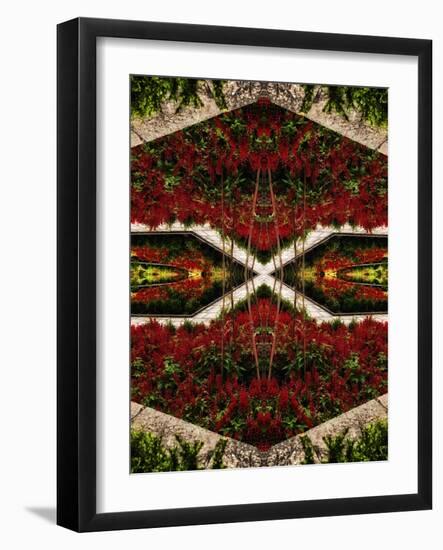 Red Flower Bed, 2015-Ant Smith-Framed Giclee Print