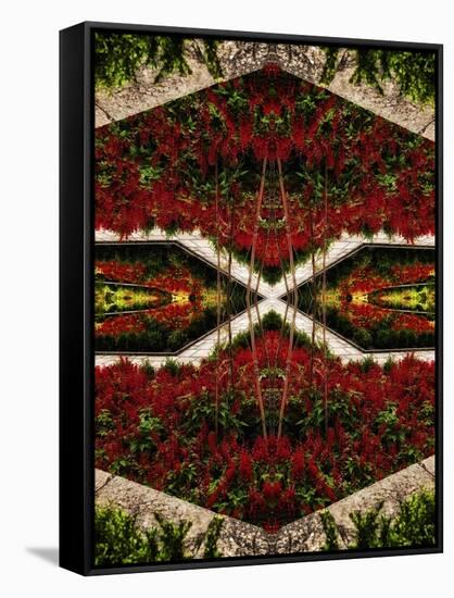 Red Flower Bed, 2015-Ant Smith-Framed Stretched Canvas