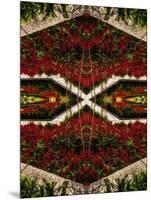 Red Flower Bed, 2015-Ant Smith-Mounted Premium Giclee Print