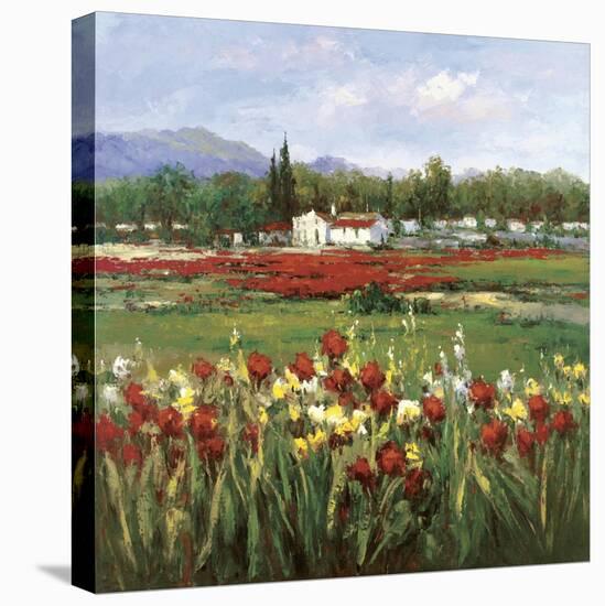 Red Flower Field-Hulsey-Stretched Canvas