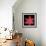 Red Flower on Black 06-Tom Quartermaine-Framed Giclee Print displayed on a wall