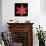 Red Flower on Black 06-Tom Quartermaine-Giclee Print displayed on a wall