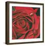 Red Flower-Scott Westmoreland-Framed Premium Giclee Print