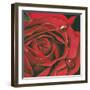 Red Flower-Scott Westmoreland-Framed Art Print