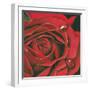 Red Flower-Scott Westmoreland-Framed Art Print