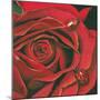 Red Flower-Scott Westmoreland-Mounted Art Print