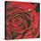 Red Flower-Scott Westmoreland-Stretched Canvas