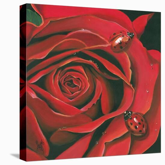 Red Flower-Scott Westmoreland-Stretched Canvas