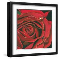 Red Flower-Scott Westmoreland-Framed Art Print