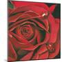 Red Flower-Scott Westmoreland-Mounted Art Print