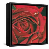 Red Flower-Scott Westmoreland-Framed Stretched Canvas