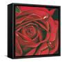 Red Flower-Scott Westmoreland-Framed Stretched Canvas