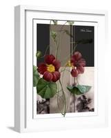 Red Flower-Flora Danica-Framed Art Print