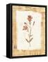 Red Flower-Hope Street Designs-Framed Stretched Canvas