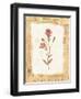 Red Flower-Hope Street Designs-Framed Giclee Print