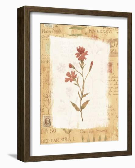 Red Flower-Hope Street Designs-Framed Giclee Print