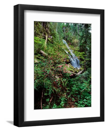 Premium Photographic Print, , large