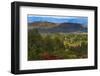 Red flowers and farmland in the mountain, Konso, Ethiopia-Keren Su-Framed Photographic Print