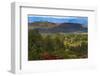 Red flowers and farmland in the mountain, Konso, Ethiopia-Keren Su-Framed Photographic Print