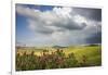 Red flowers and rainbow frame the green hills and farmland of Crete Senesi (Senese Clays), Province-Roberto Moiola-Framed Photographic Print