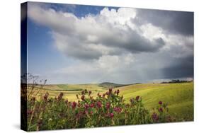 Red flowers and rainbow frame the green hills and farmland of Crete Senesi (Senese Clays), Province-Roberto Moiola-Stretched Canvas