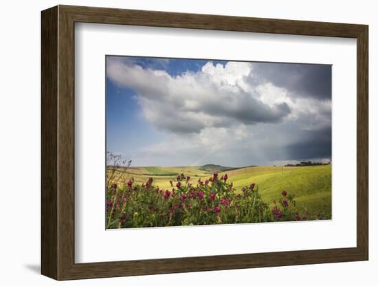 Red flowers and rainbow frame the green hills and farmland of Crete Senesi (Senese Clays), Province-Roberto Moiola-Framed Photographic Print