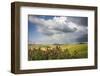 Red flowers and rainbow frame the green hills and farmland of Crete Senesi (Senese Clays), Province-Roberto Moiola-Framed Photographic Print