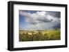 Red flowers and rainbow frame the green hills and farmland of Crete Senesi (Senese Clays), Province-Roberto Moiola-Framed Photographic Print