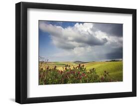 Red flowers and rainbow frame the green hills and farmland of Crete Senesi (Senese Clays), Province-Roberto Moiola-Framed Photographic Print